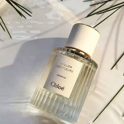LINE_ALBUM_Chloe仙境花園系列淡香精_北國雪松-50ml_240903_9