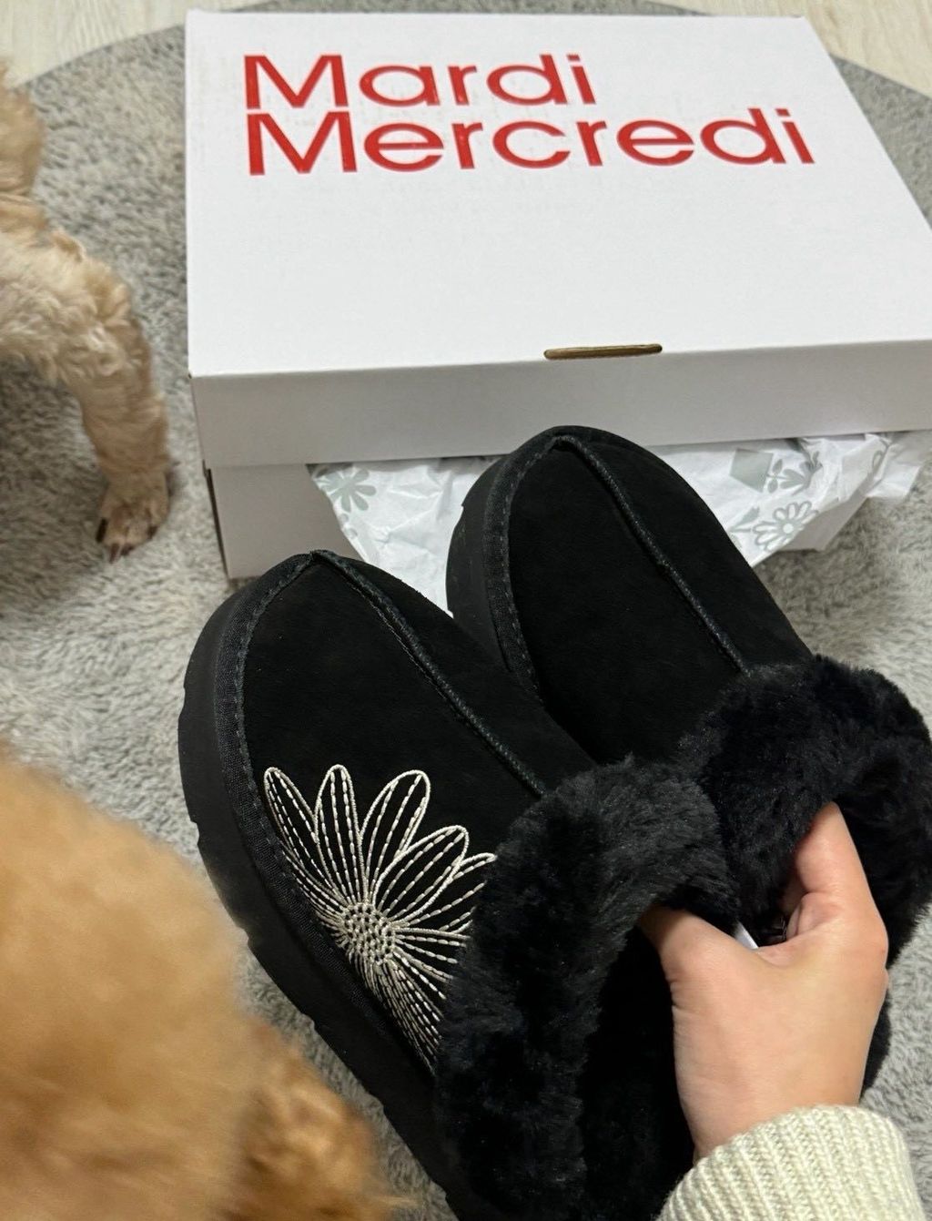 571640306_2760022274347808_6246557251558944925_n