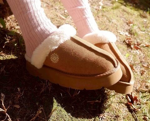 571380556_2760022137681155_1855681082691017480_n