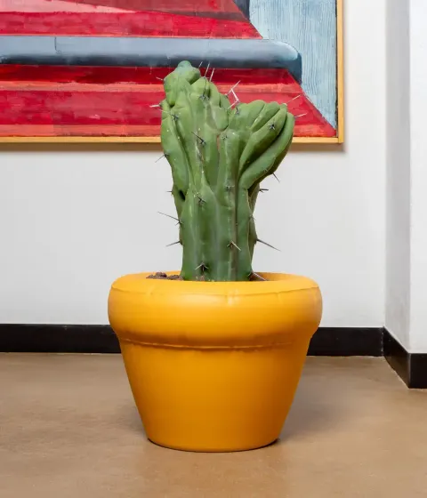 Material- Ceramic : Earthenware  Handmade in Portugal  Dimensions- Diameter 25 cm : 9.8 inch, height 18 cm : 7 inch Indoor and outdoor use Handling- Hand wash Color- Yolk : Yellow