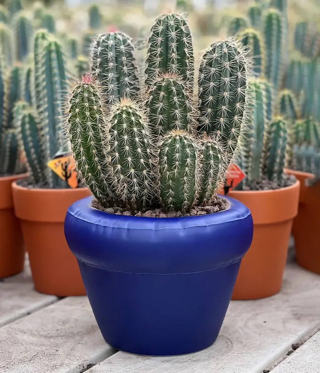 Home Studyo Planter 'PIERRE' Indigo