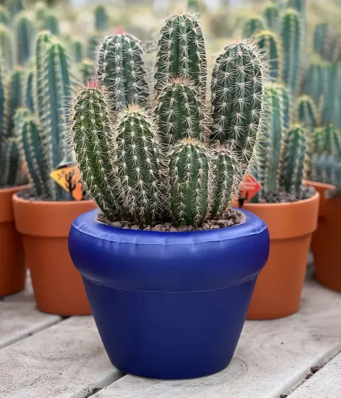 Home Studyo Planter 'PIERRE' Indigo