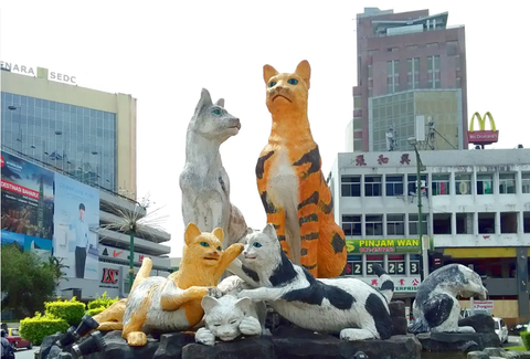 Screenshot 2024-07-18 175541