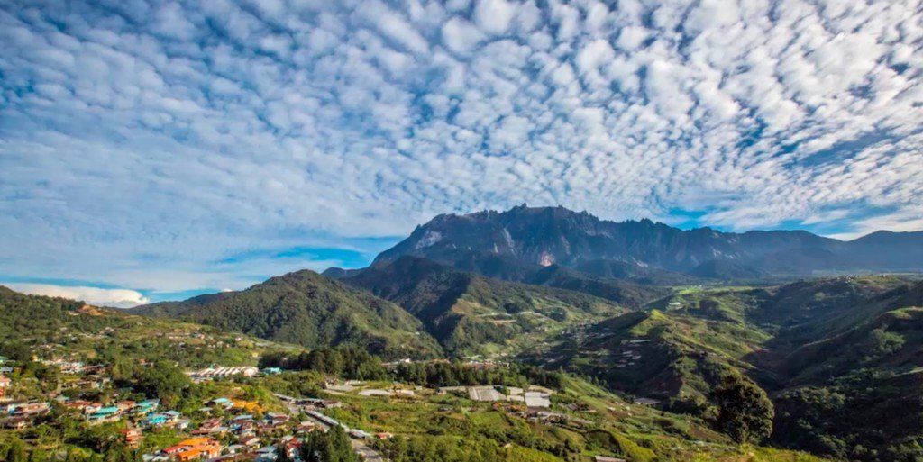 image_processing20200109-4-ynwlj1 (2)