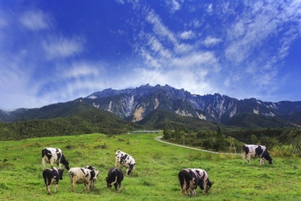 Fotolia_123514474_XS