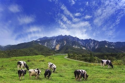 Fotolia_123514474_XS