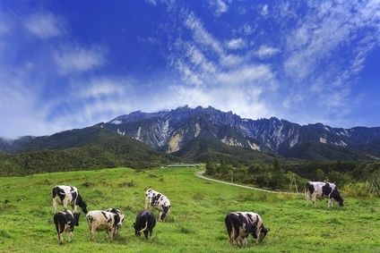 Fotolia_123514474_XS