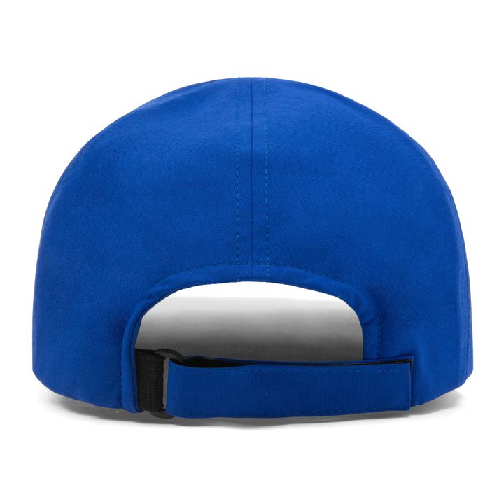 Blue Trim Logo 2