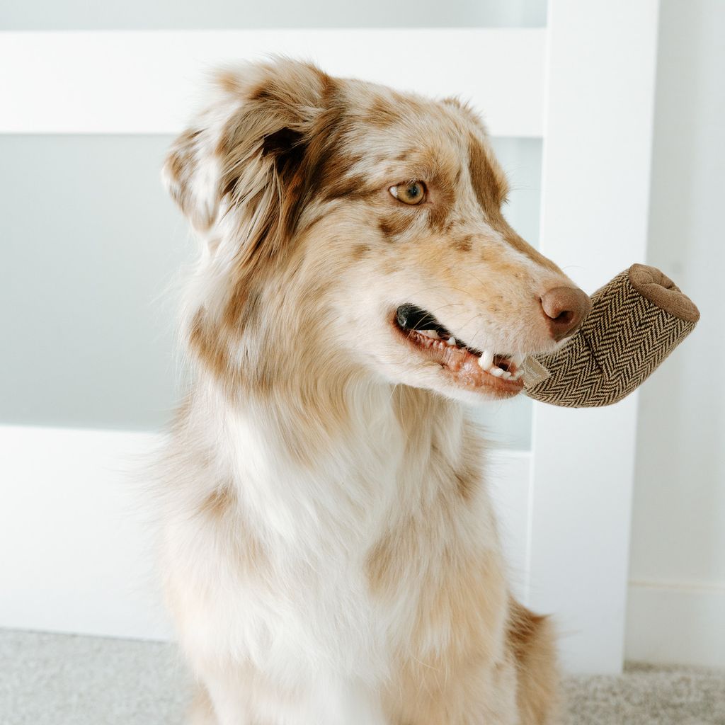 FC91B230-EA0C-4A8B-B69A-5CA24E27D89C