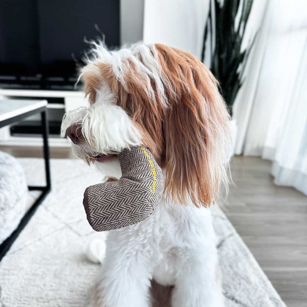 1861A0EE-00E6-4FA5-A874-12199A259089