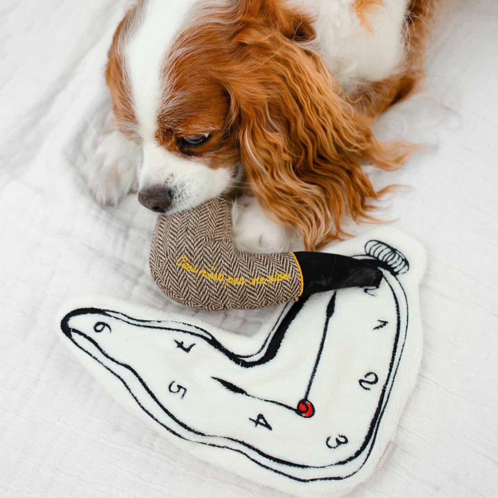 02CAE233-55AD-4CC4-AC71-4B51678C0E3C