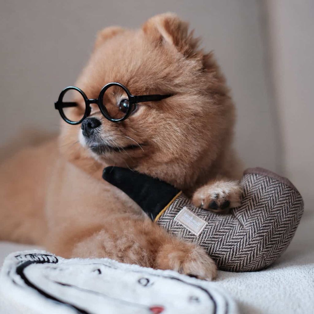 5DDCA0E1-C0DA-4588-9CD9-32A5B4D4CF6E