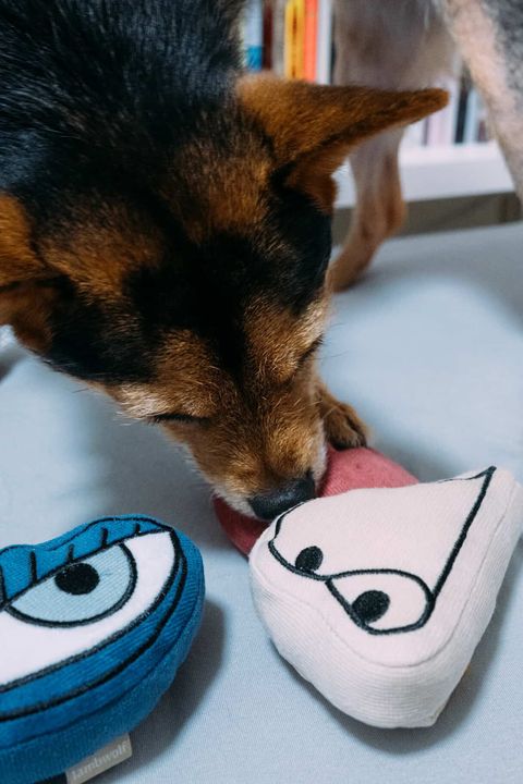 B97E490A-09A8-4F79-BA9A-93943825FB4F