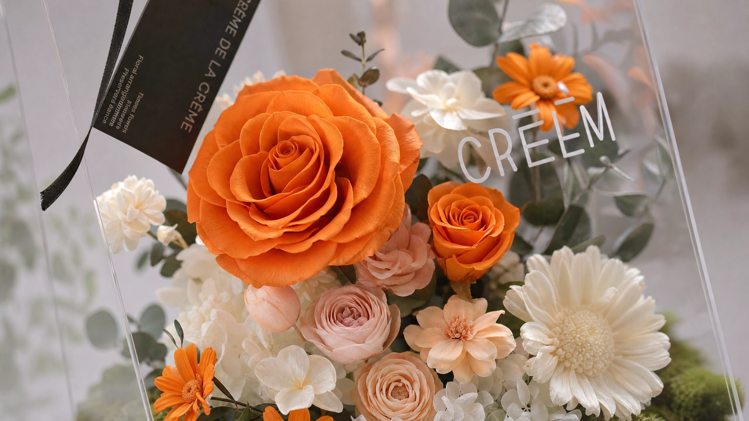 crem_image_7