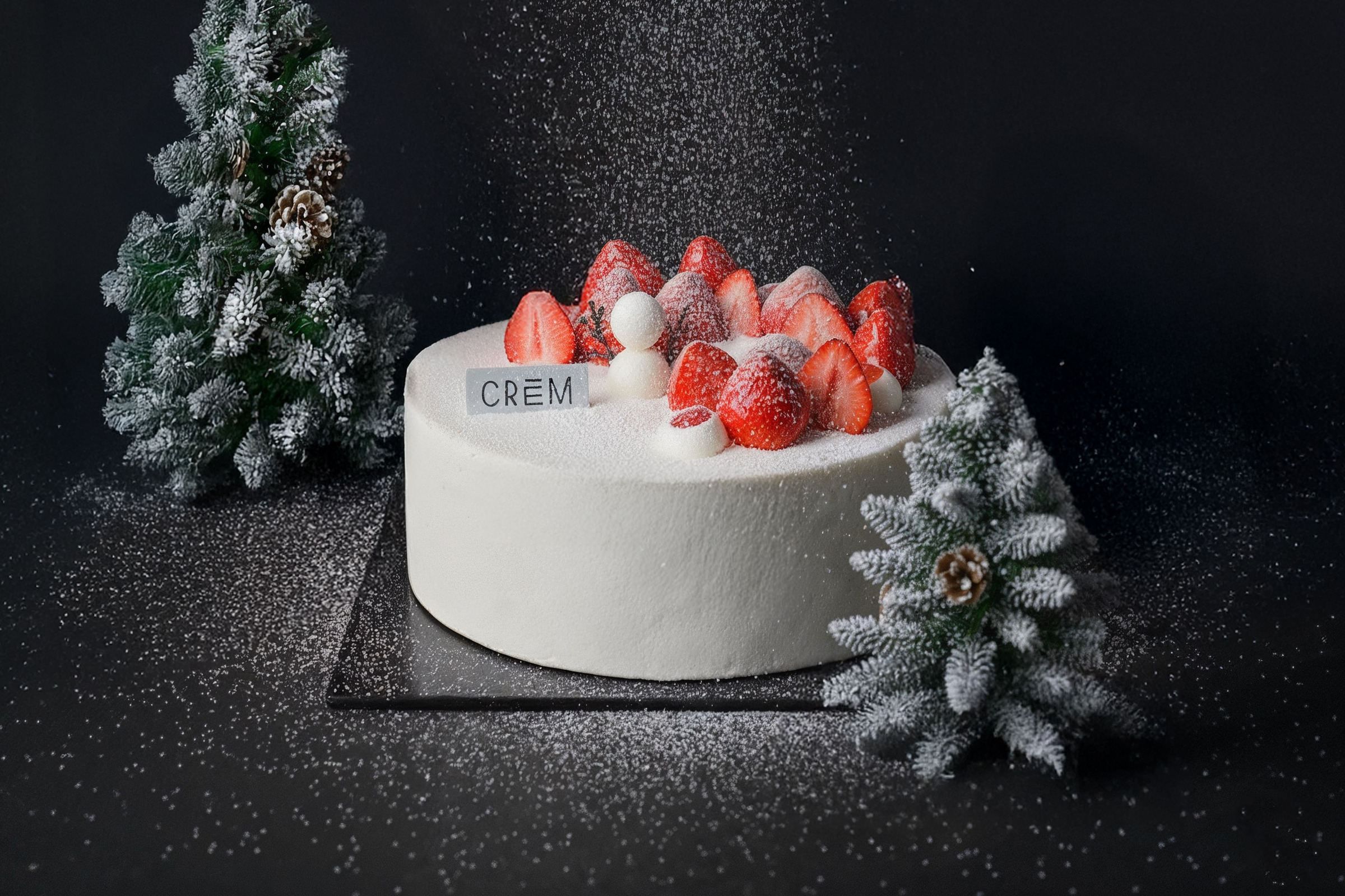 freepik__enhance__45149 拷貝