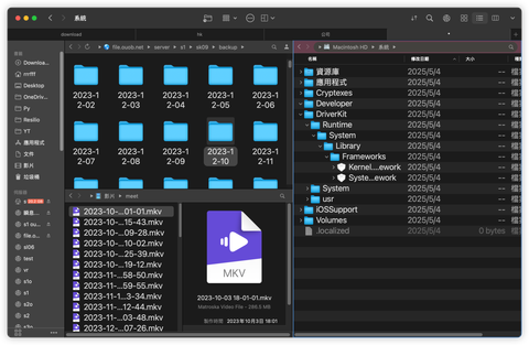 fileView