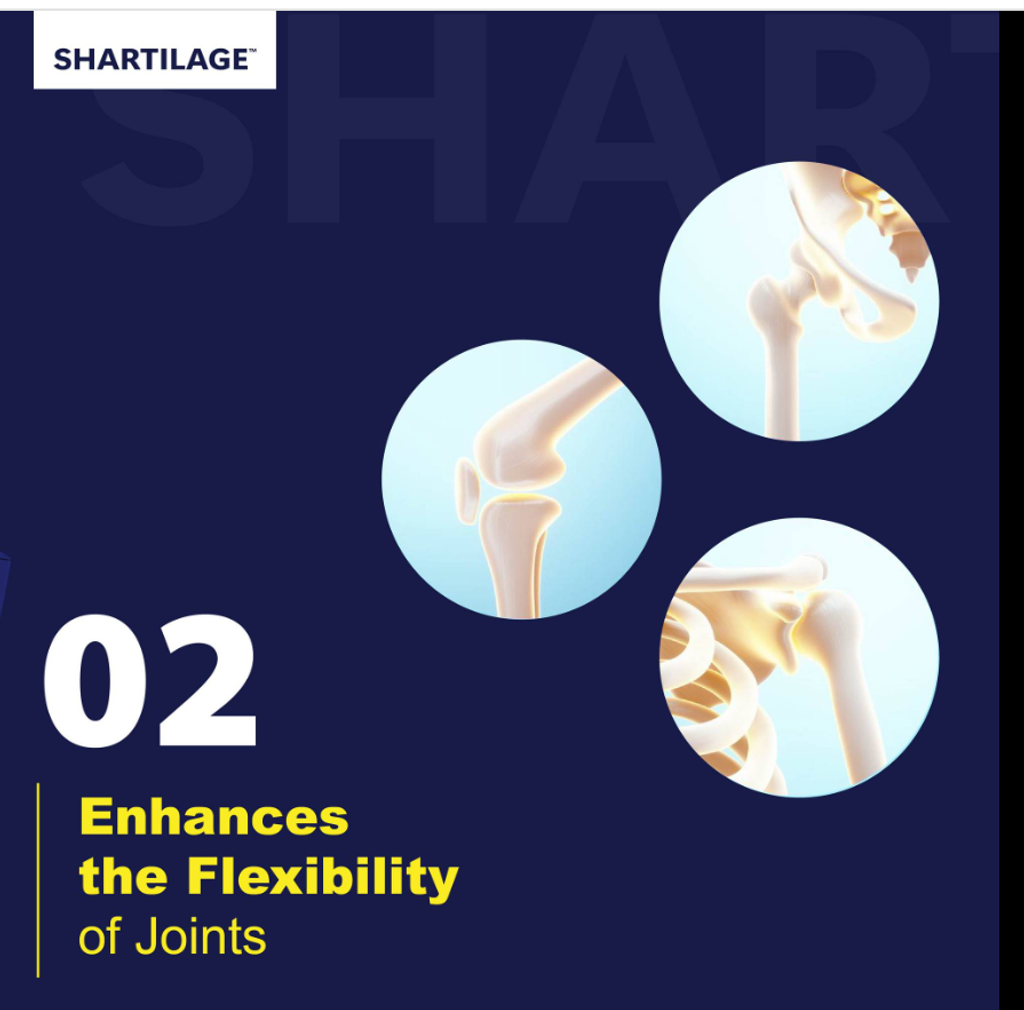 shartilage 2