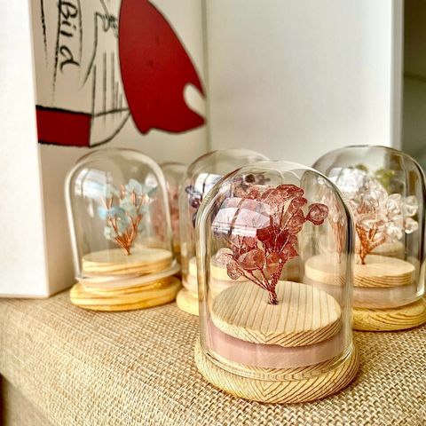 LINE_ALBUM_0732·水晶樹(月底客人購買)_250731_8