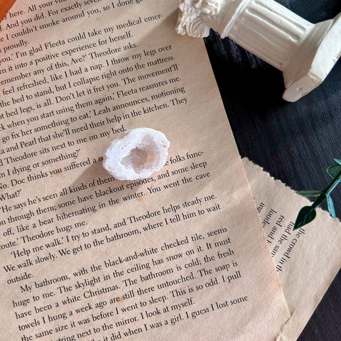 LINE_ALBUM_0913·招財瑪瑙晶洞｜墨西哥 - C款_250913_10