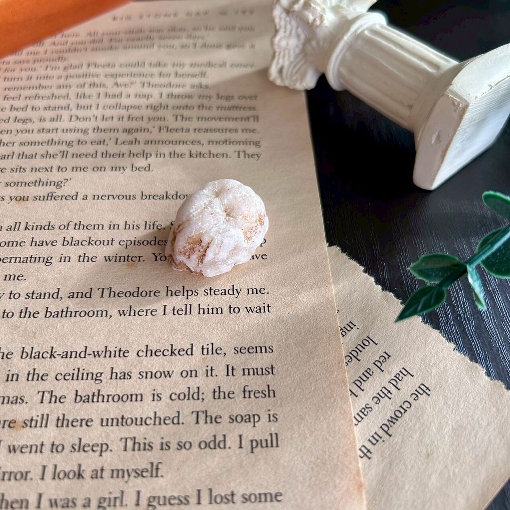 LINE_ALBUM_0913·招財瑪瑙晶洞｜墨西哥 - C款_250913_5