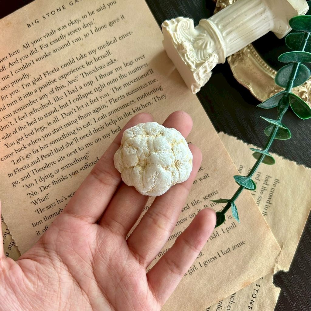 LINE_ALBUM_0913·招財瑪瑙晶洞｜墨西哥 - E款_250913_3