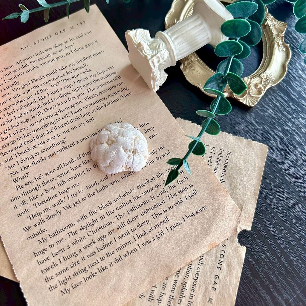 LINE_ALBUM_0913·招財瑪瑙晶洞｜墨西哥 - E款_250913_2