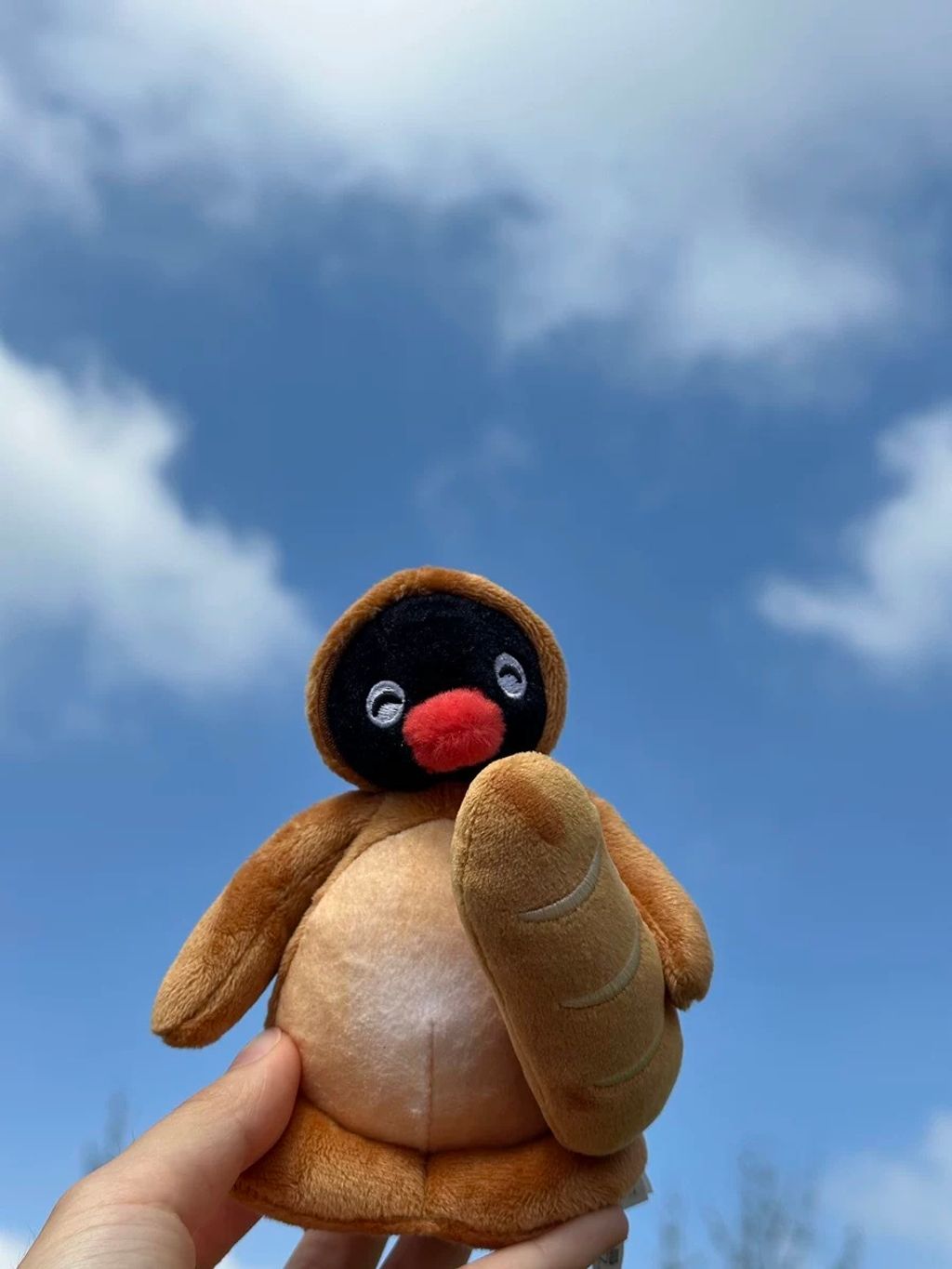 IMG_8970-1738738494659