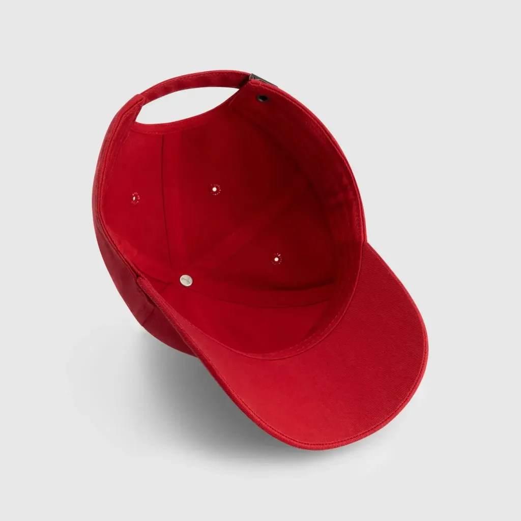 701232798001_pp_04_pumaferrari