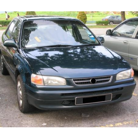 my-11134207-7qul3-lgynvnztfo31aa