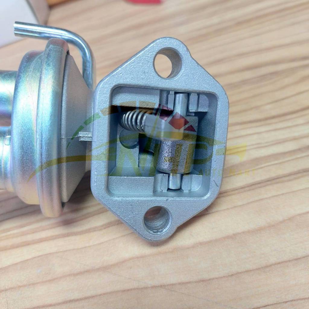 my-11134207-7r98s-lovxdmdtjez487