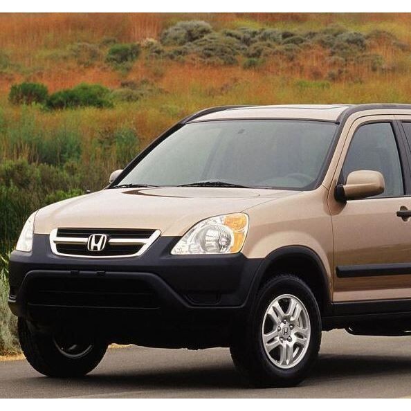 sg-11134201-7reqg-m2aguifdopsz58