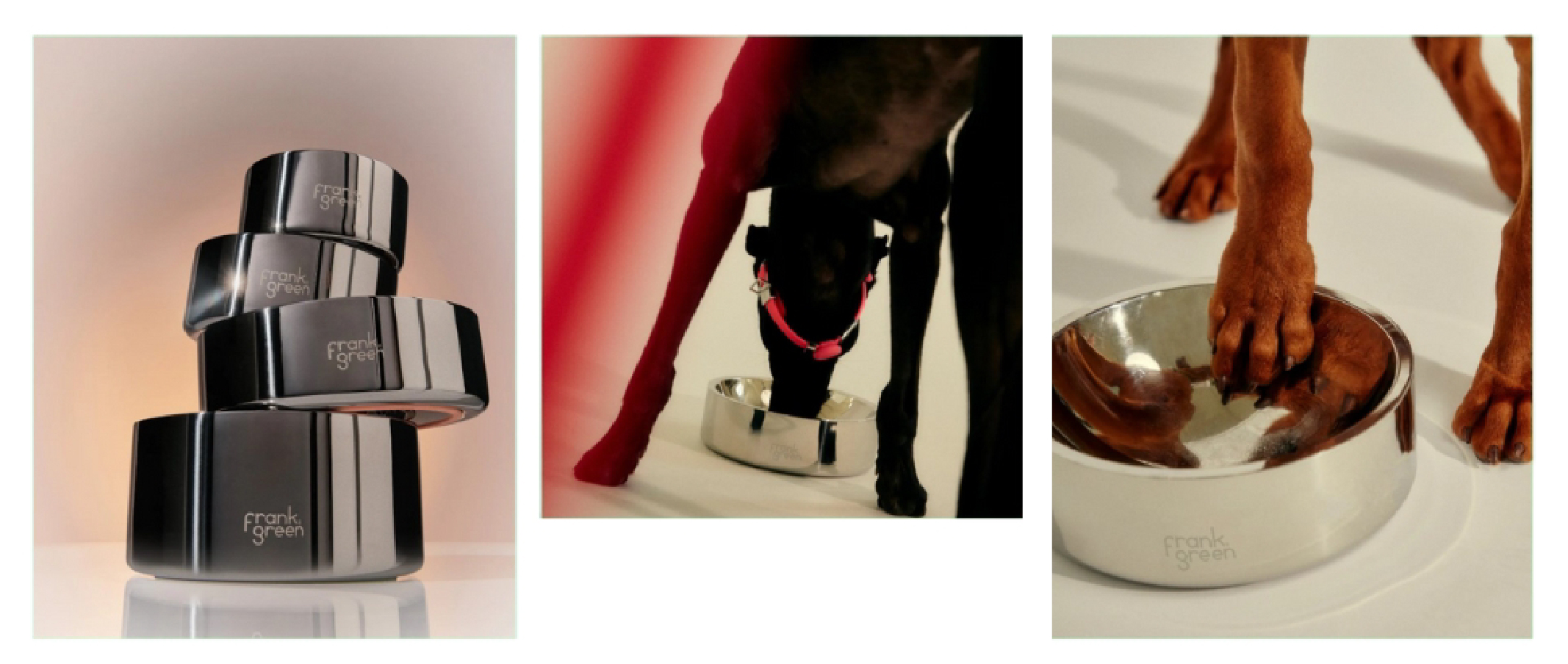 pets-banner-02-01