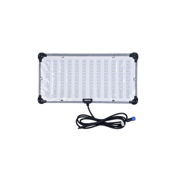 amaran-F21c01