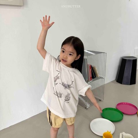 imgi_10_68_202604031110B