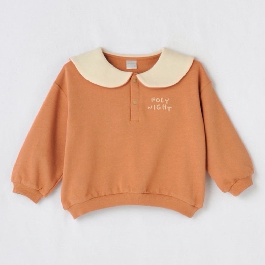 image_3E2B657F-0496-41B5-B095-E7C49D6089B0_1761709865