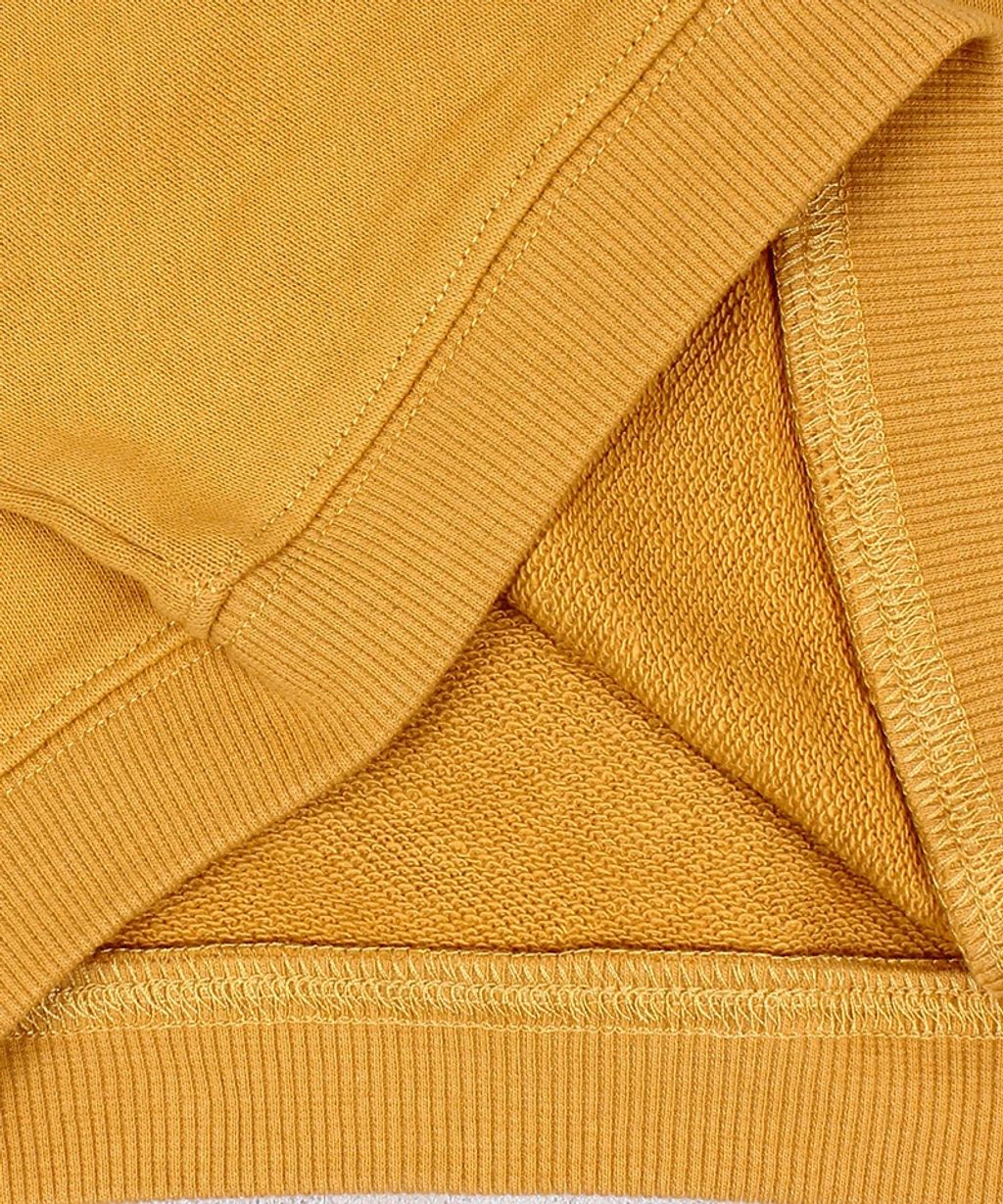 image_2440CDFE-0A45-41DF-8EEB-FB8F44A54759_1763621792