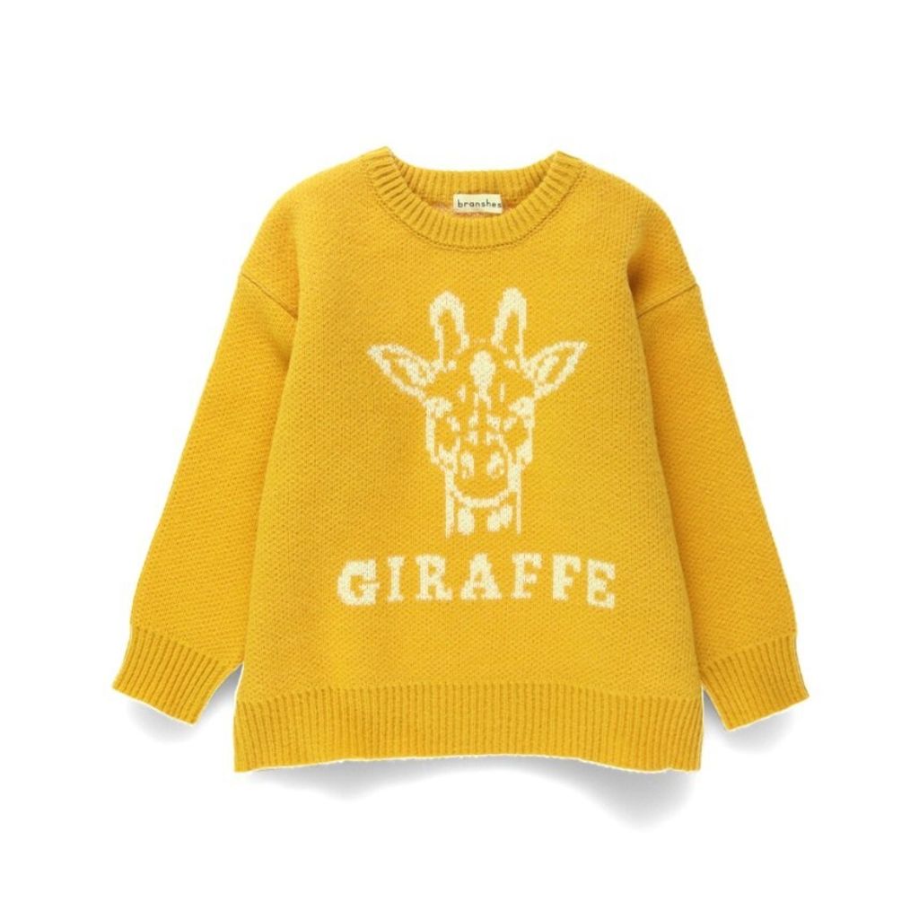 image_310EBE7E-019E-4773-B221-734F35484132_1763999398