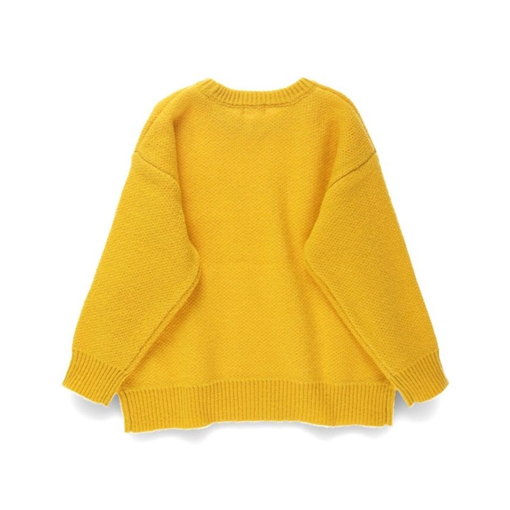 image_1D0D66C3-118E-42F8-A364-D5015B29063E_1763999398