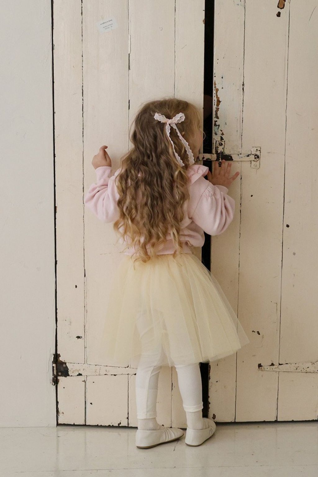 imgi_11_41_202601121245D