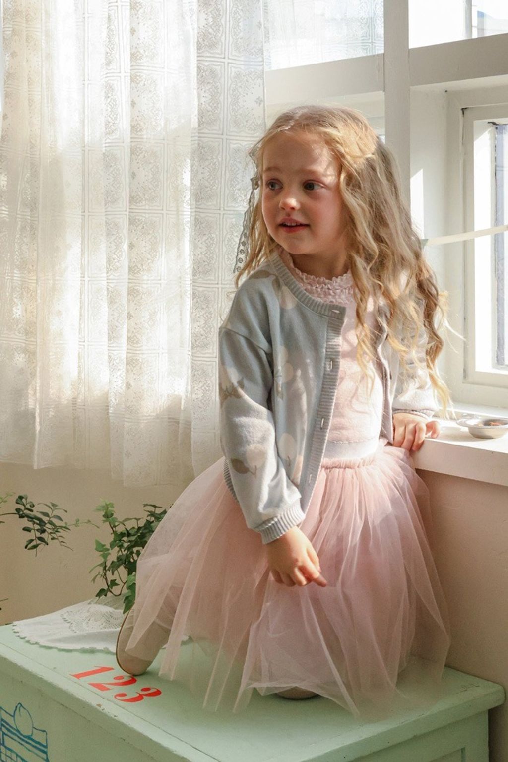 imgi_12_33_202601121252E