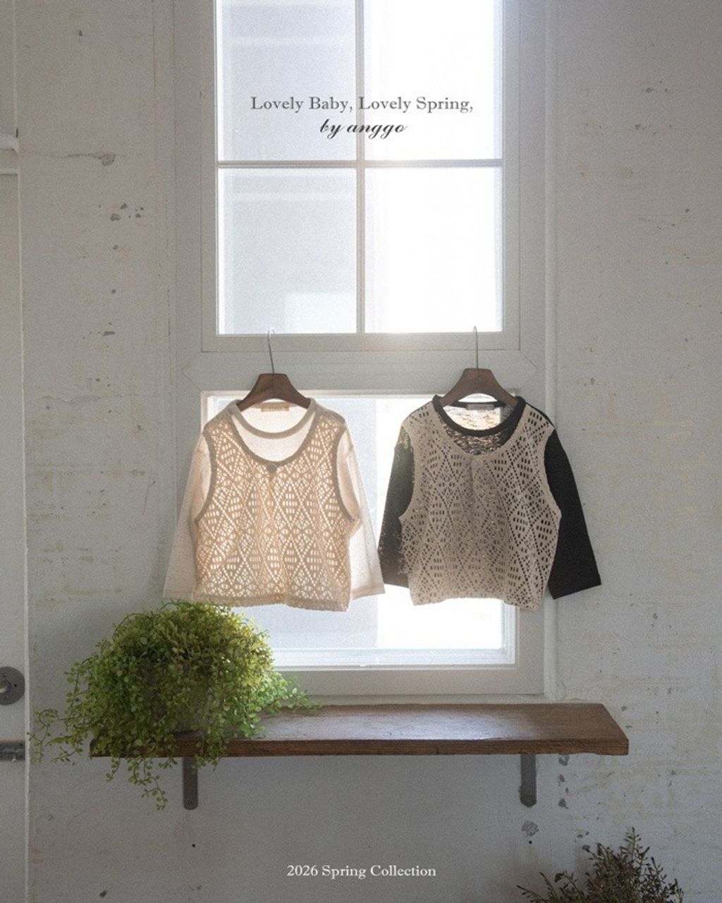 imgi_30_66_202601161640D