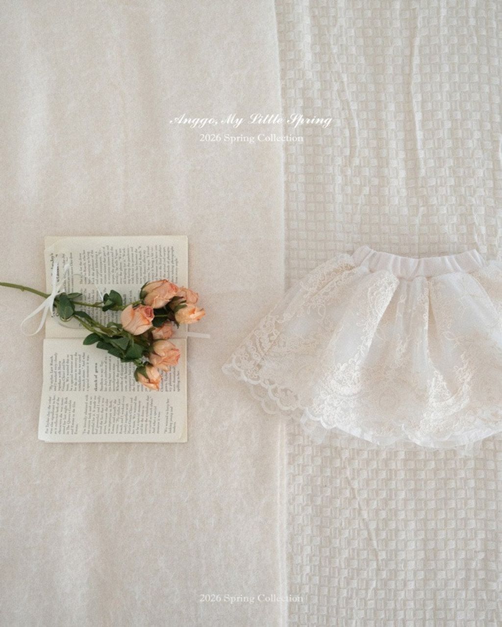 imgi_26_48_202601161649A