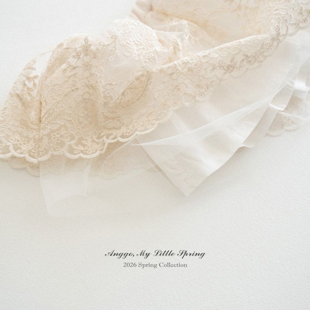 imgi_38_48_202601161649M