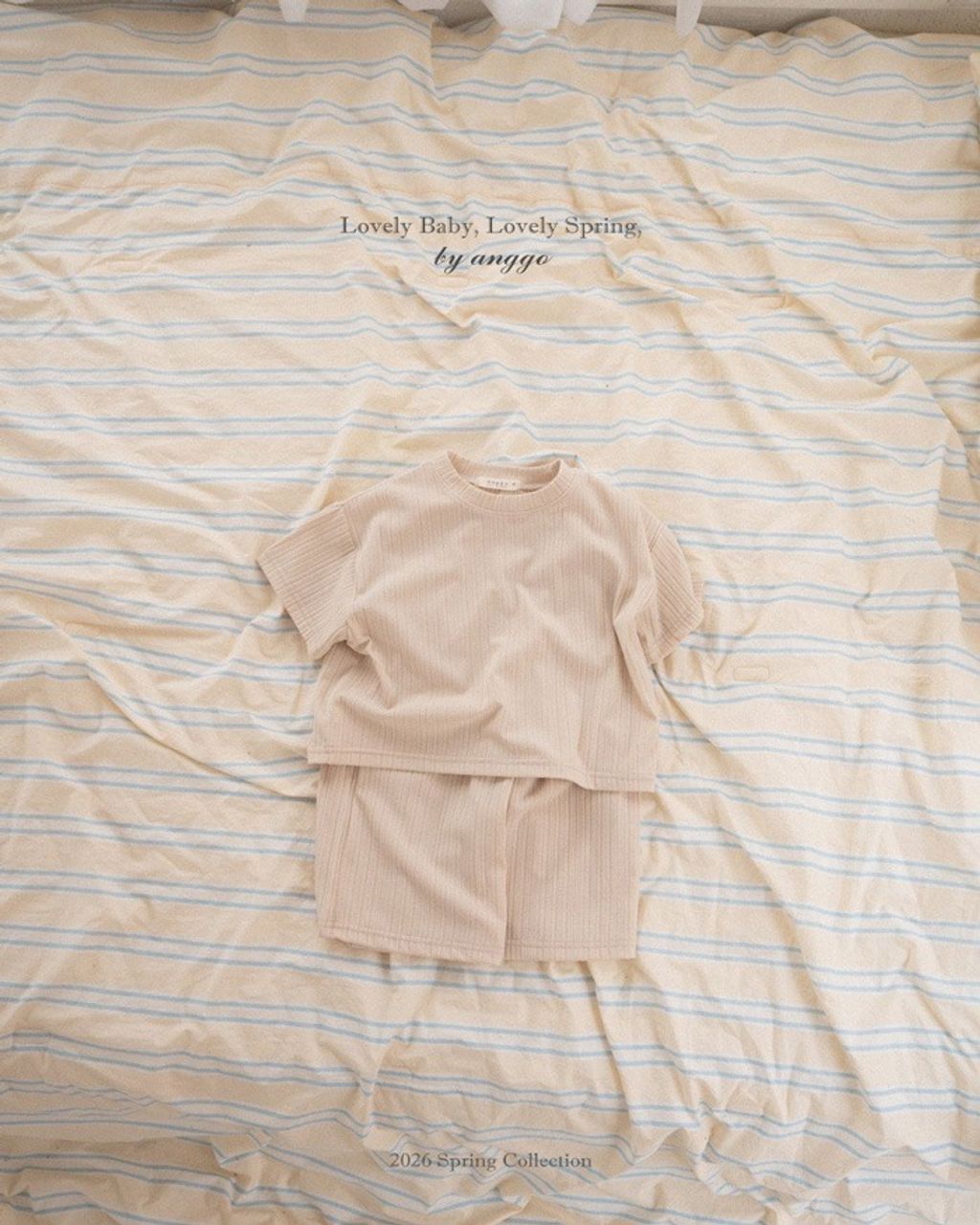 imgi_37_44_202601161650J