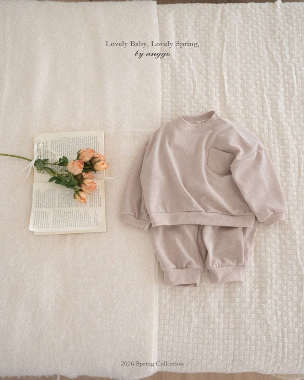 imgi_41_42_202601161651G