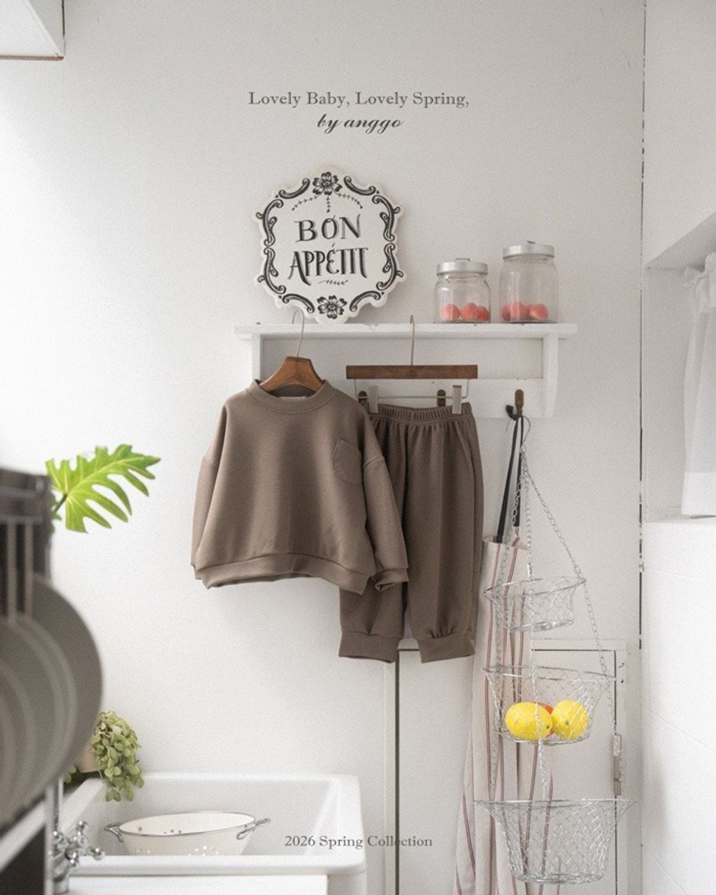 imgi_45_42_202601161651K