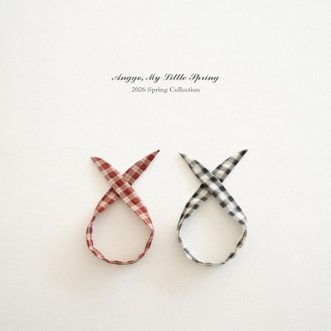 imgi_23_19_202601161700B