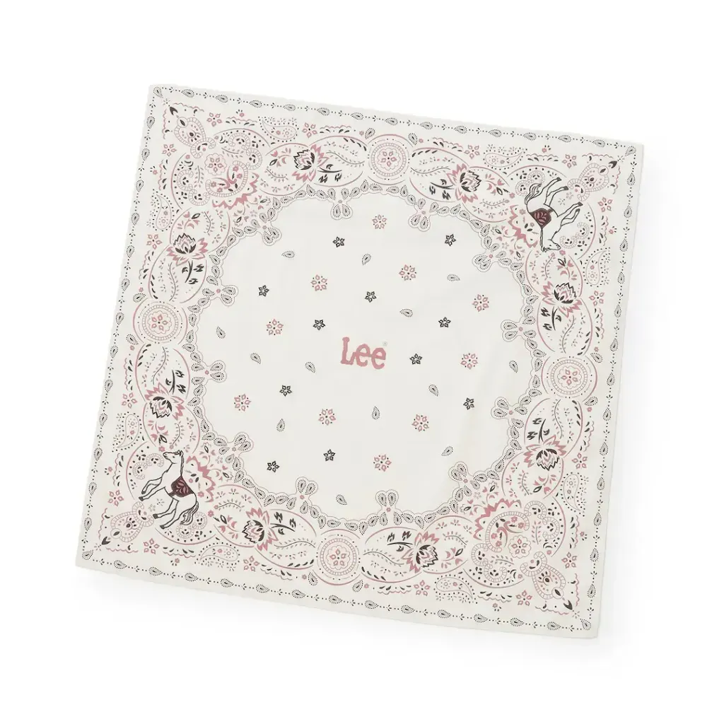 image_50FE7095-B550-48E3-8037-0017BBECAF9D_1771941299