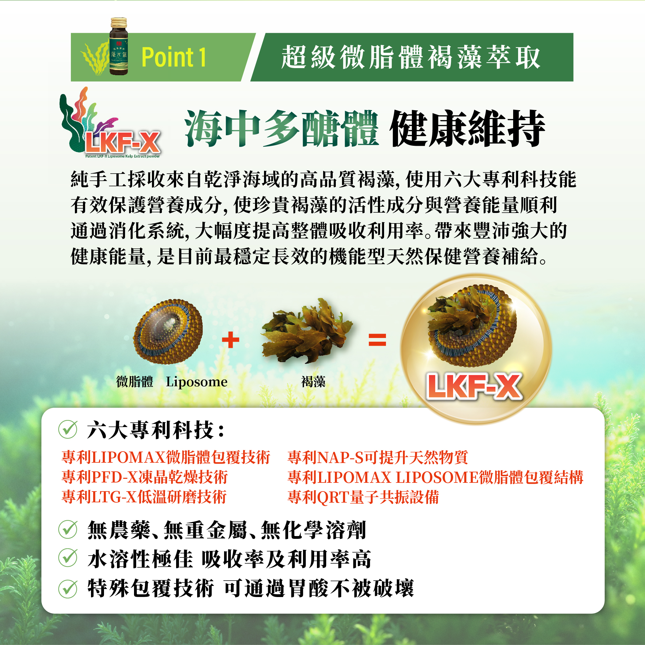 藻元氣_EDM-5