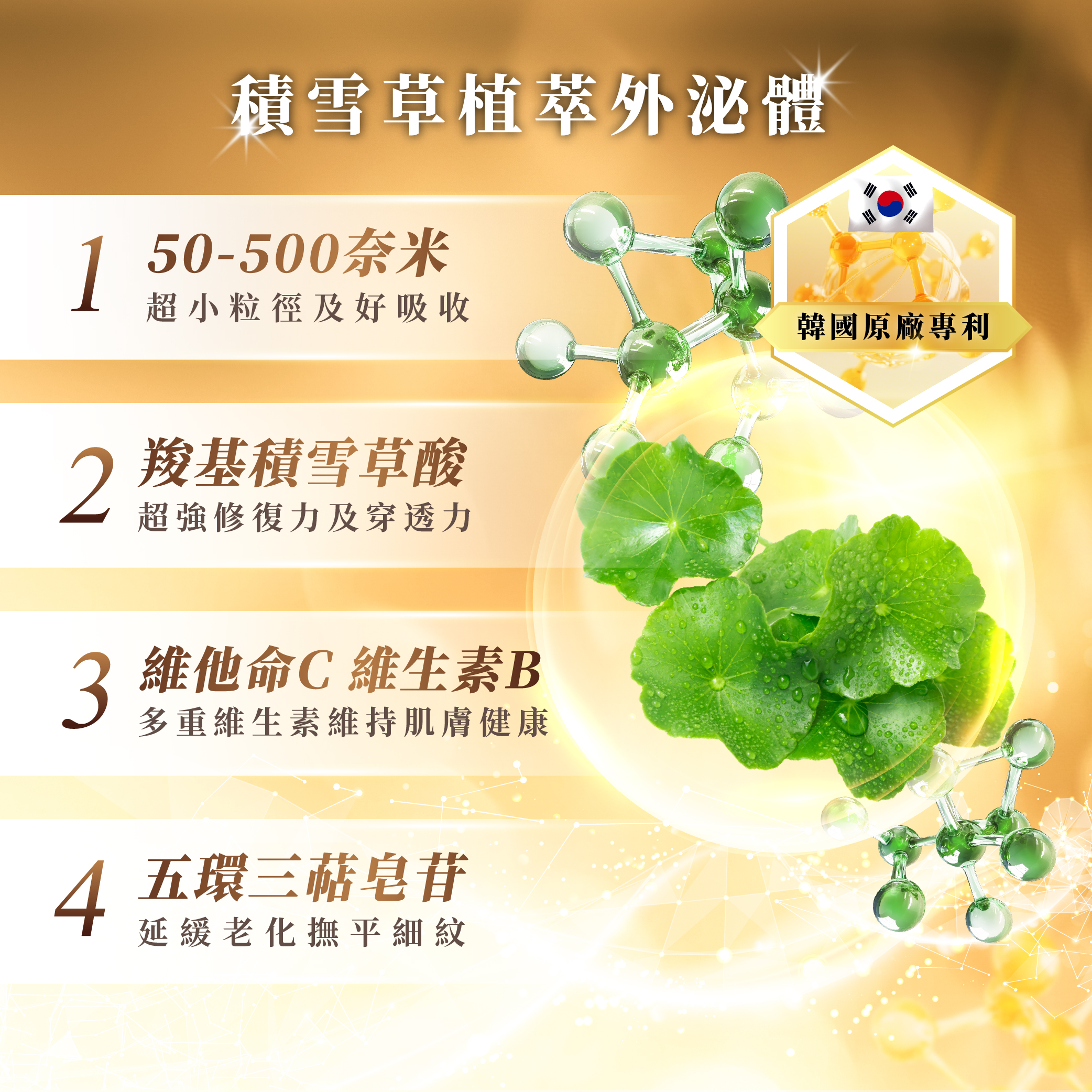 青春露_EDM-5